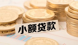 长沙生意哪里有小额贷款-长沙生意身份证贷款平台-长沙生意民间短借